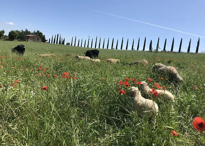 La Tana Del BianconiglioAgriturismo